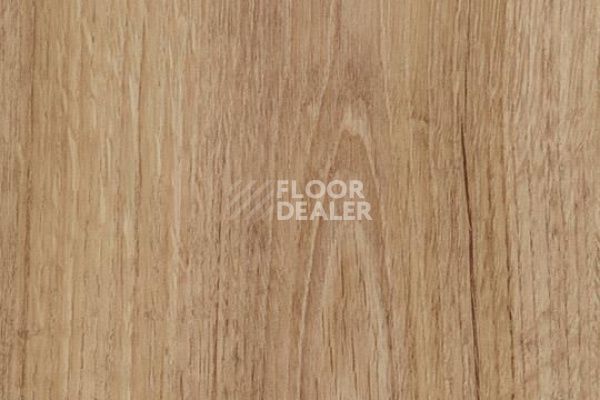 Плитка ПВХ Forbo Allura Decibel 8WAU04-3WAU04 classic authentic oak фото 1 | FLOORDEALER